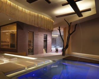 Dhara Wellness